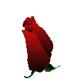 rose2d04.gif